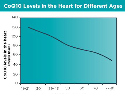 hd-hqc-pp-coq10-chart-web