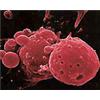 nano_particles